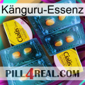 Känguru-Essenz cialis5